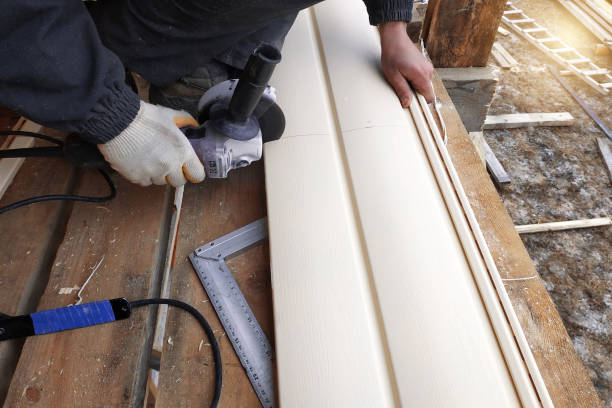 Best Steel Siding Installation  in Sparta, MO